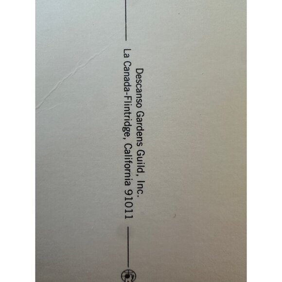 Vintage Butterfly Wings Camellia Postcard – Descanso Gardens, La Cañada Flintrid - Picture 6 of 10